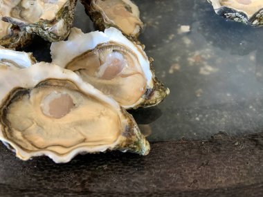 İstiridyeler uzman şefler tarafından harika ve lezzetli yapıldı.
