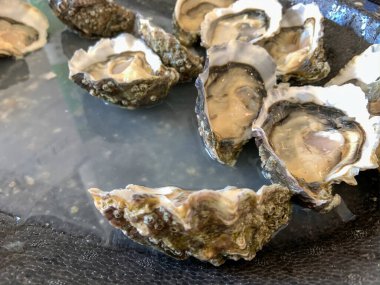 İstiridyeler uzman şefler tarafından harika ve lezzetli yapıldı.