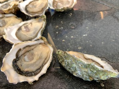 İstiridyeler uzman şefler tarafından harika ve lezzetli yapıldı.