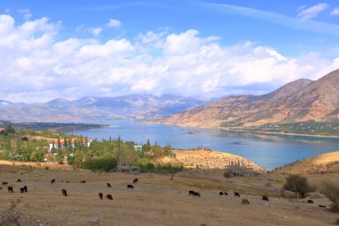 Özbekistan 'daki Taşkent yakınlarında Charvak su deposu