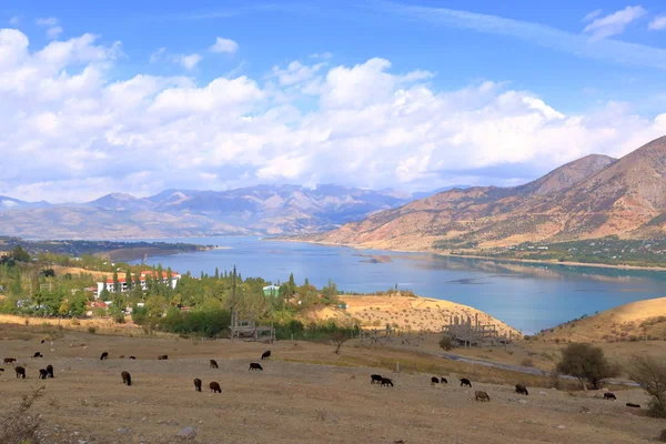Özbekistan 'daki Taşkent yakınlarında Charvak su deposu
