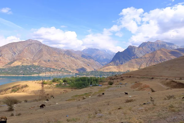 Charvak water reservoir near Tashkent in Uzbekistan — Stock Photo, Image