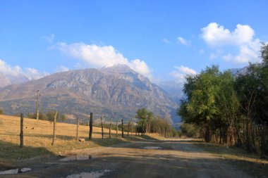 Ugam-Chatkal Milli Parkı 'ndaki Batı Tian Shan Dağları