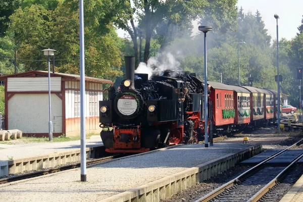 Treno a vapore nella regione di Harz — Foto Stock