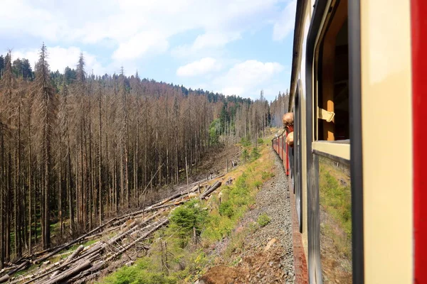 Tren de motor de vapor en la región de Harz —  Fotos de Stock