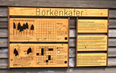 Almanya 'daki Harz dağlarında yıkıcı bir orman ölüyor. Sebep, kabuk böceklerinin iklim değişikliği, kuraklık ve muazzam üremesidir.