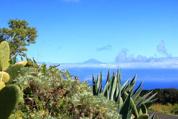 Vista Tenerife Del Teide Desde Gomera Mirador Abrante — Foto de Stock