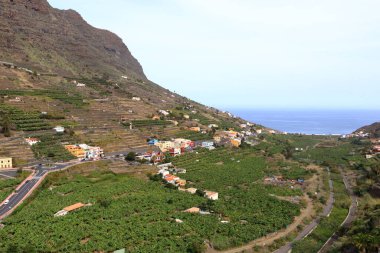 Kanarya adası La Gomera 'daki Hermigua köyünü çok renkli evleri ve palmiyeleri olan