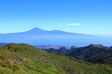 La Gomera 'daki ulusal park Garajonay' a bakın. Arka planda Tenerife adası volkan Pico de Teide ile