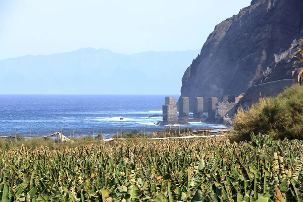 Santa Catalina Bay Banana Plantations Gomera Canary Islands — Stock Photo, Image