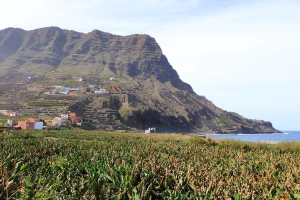 Santa Catalina Bay Banana Plantations Gomera Canary Islands — Stock Photo, Image