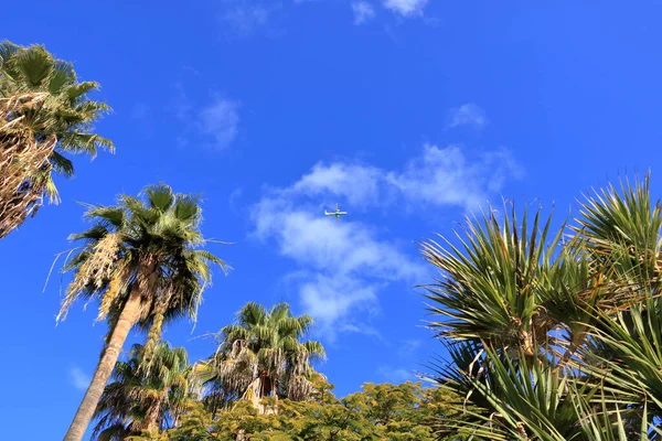Janeiro 2020 Gomera Ilhas Canárias Espanha Avião Voando Céu Sobre — Fotografia de Stock