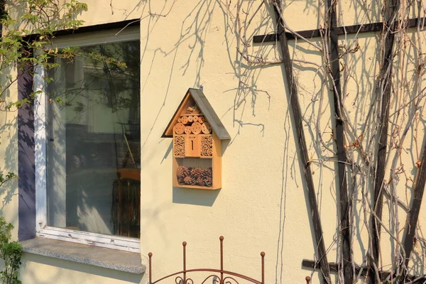 Vahşi Bir Arı Böcek Barınağı Oteli — Stok fotoğraf