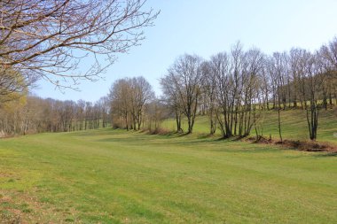 Almanya 'da tarlaları ve çayırları olan güneşli, huzurlu bir kırsal alan.