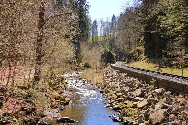 フォレスト 鉄道の古い鉄道 — ストック写真