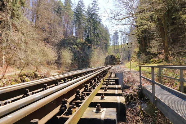 フォレスト 鉄道の古い鉄道 — ストック写真