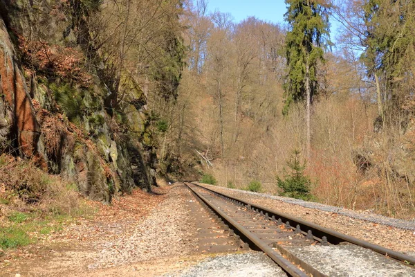 Stare Szyny Forrest Kolej Kolej — Zdjęcie stockowe