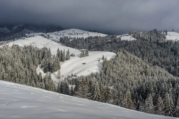 Paisaje Invernal Resplandeciente Por Luz Solar Escena Invernal Dramática Cárpatos — Foto de Stock