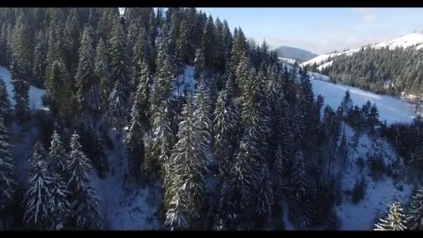 Vista Aérea Localidade Habitada Nas Montanhas Inverno Edifícios Montanha Encostas — Vídeo de Stock