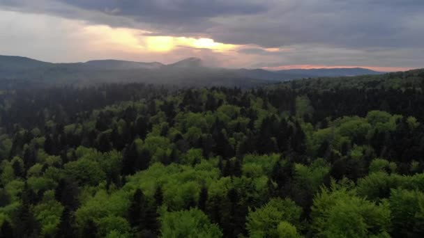 Luchtfoto Van Geweldig Berglandschap Bij Zonsondergang Zon Brandt Boomtoppen Drone — Stockvideo