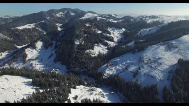 Güneşli havada ağaçlarla ve köyle kaplı dağ sırasının insansız hava aracı panoraması. Karpat dağlarının kış manzarası