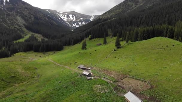 Naturskön Panoramautsikt Över Idylliska Böljande Kullar Vårlandskap Karpaterna Med Grönskande — Stockvideo