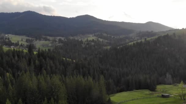 カルパチア山脈と緑の森に囲まれた小さな高地の村の美しい空中ドローン映像 — ストック動画