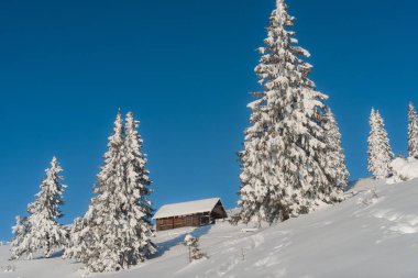 Karlı dağlarda ahşap evle muhteşem kış manzarası. Noel tatili kavramı. Karpatlar Dağı, Ukrayna, Avrupa