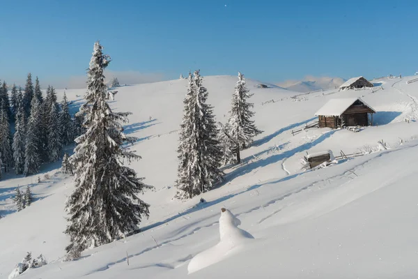 눈덮인 나무로 환상적 풍경입니다 크리스마스 선물이야 우크라이나 유럽의 카르파티아 — 스톡 사진