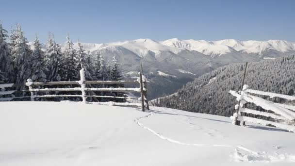 Hermoso Paisaje Invierno Con Árboles Cubiertos Nieve Montañas Invierno — Vídeo de stock
