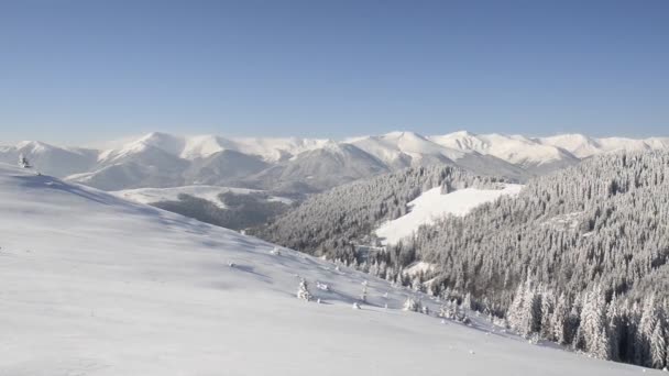 Hermoso Paisaje Invierno Con Árboles Cubiertos Nieve Montañas Invierno — Vídeo de stock