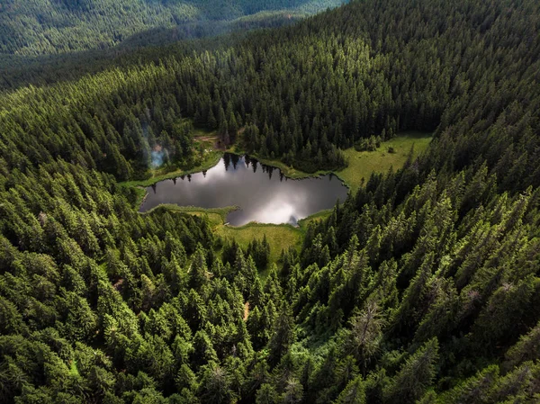 在乌克兰喀尔巴阡山脉美丽的高山湖玛丽契卡。 夏日晴天。 乌克兰美丽地方的自然特征. 免版税图库照片