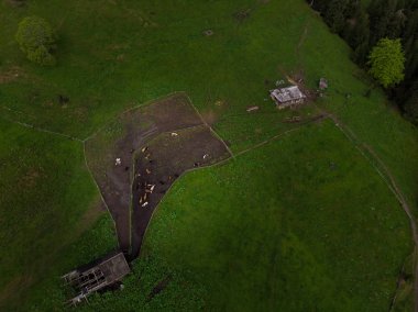 Karpatlar 'daki hava manzaralı mandıra çiftliği