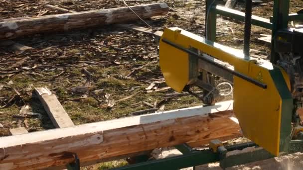 ソーミル機器製材機の機械加工ログのプロセスは 板紙の上に木の幹を見た 現代の製材所とログからボードをソーイング — ストック動画
