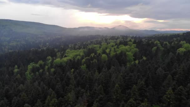 Luftdrohne Karpaten Ukraine Schöne Aussicht Durch Den Wald Top Drone — Stockvideo