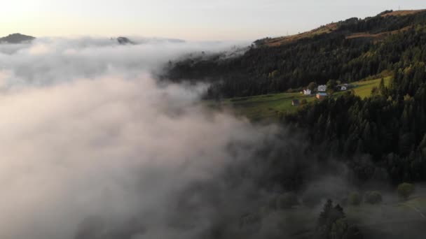 Légi Kilátás Gyönyörű Fehér Cumulus Felhők Lebeg Csúcsok Erdő Felett — Stock videók