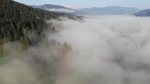 Полет Облаках Горах Утренние Облака Горах Воздушный Вид Утренний Туман — стоковое видео