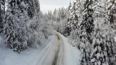 Snow-covered twisty road through forest in winter - aerial drone shot