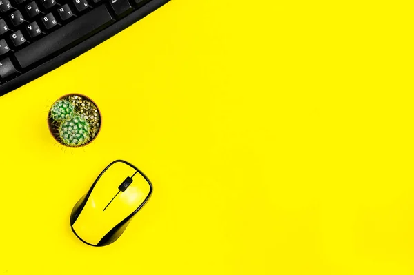 flat lay workspace yellow computer mouse, cactus on yellow background with copy space