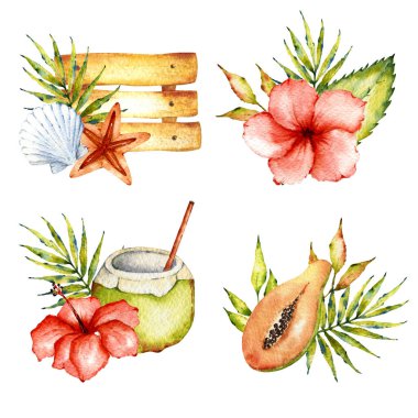 Suluboya yaz koleksiyonu. Bir dizi kompozisyon. Tropikal yapraklar, çiçekler, meyveler