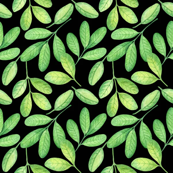 Seamless Pattern Watercolor Peanut Leafes — Free Stock Photo
