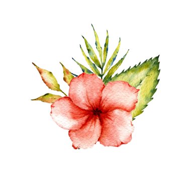 Suluboya yaz koleksiyonu. Tropikal yapraklar, çiçekler ve meyveli kompozisyon. Dekor, davetiye, düğün dekorasyonu, desenler, arka planlar için kullanışlı