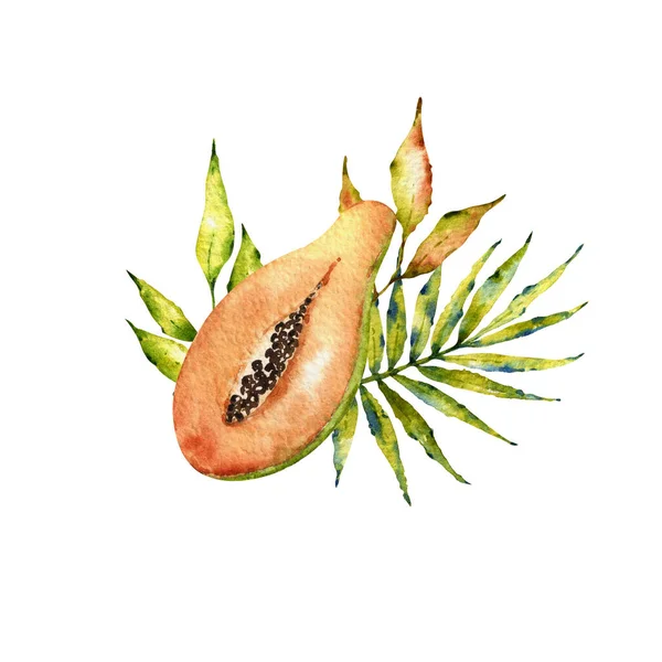 Akvarell Sommarkollektion Sammansã Ttning Med Tropiska Blad Blommor Frukt Användbar — Stockfoto