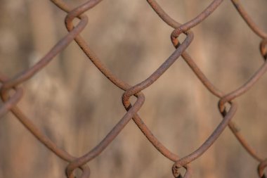 Paslı çelik tel örgü tel örgüler, yumuşak odaklı tel örgüler birbirine çok yakın. Parlak bir arka planda, tel örgülü tel örgüdeki tek halka.