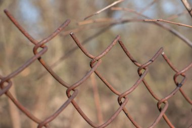 Paslı çelik tel örgü tel örgüler, yumuşak odaklı tel örgüler birbirine çok yakın. Parlak bir arka planda, tel örgülü tel örgüdeki tek halka.