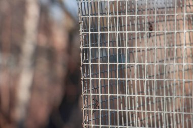 Paslı çelik tel örgü tel örgüler, yumuşak odaklı tel örgüler birbirine çok yakın. Parlak bir arka planda, tel örgülü tel örgüdeki tek halka.