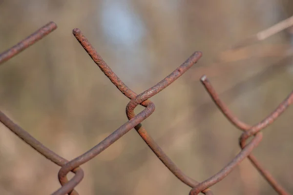 Paslı Çelik Tel Örgü Tel Örgüler Yumuşak Odaklı Tel Örgüler — Stok fotoğraf