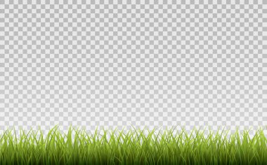 Yeşil çim sınır, şeffaf arka plan degrade kafes ile izole