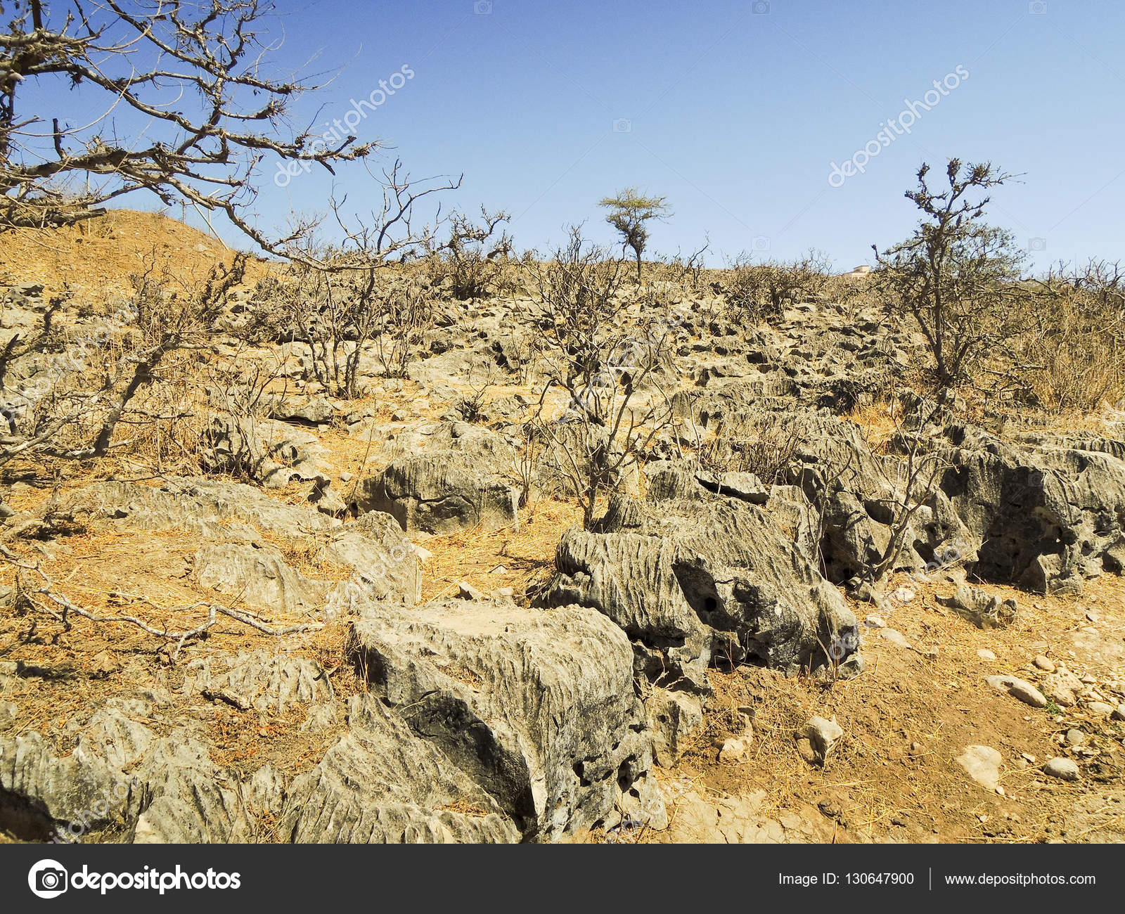 Tawi Atayr Big Sinkhole In Oman Stock Photo C Dr322