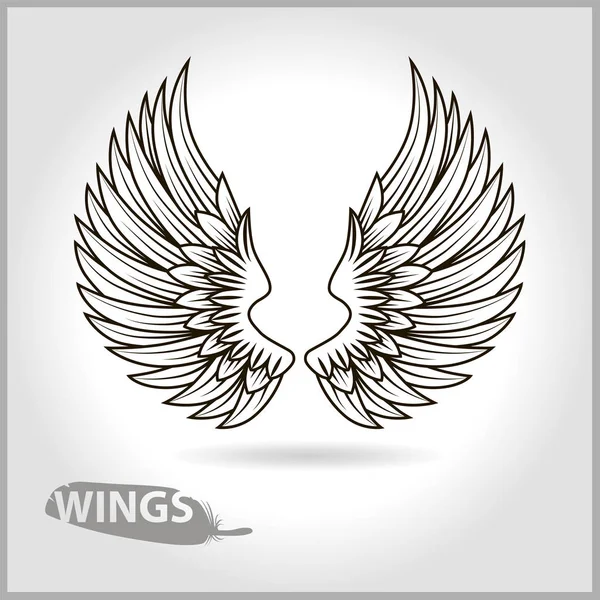 Векторные крылья и перо — стоковый вектор